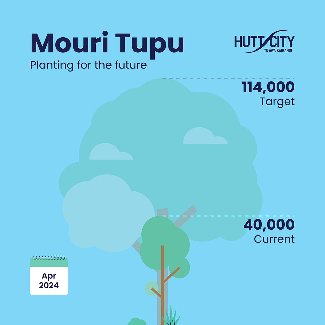 An illustration of a tree tracking to 114,000 plants