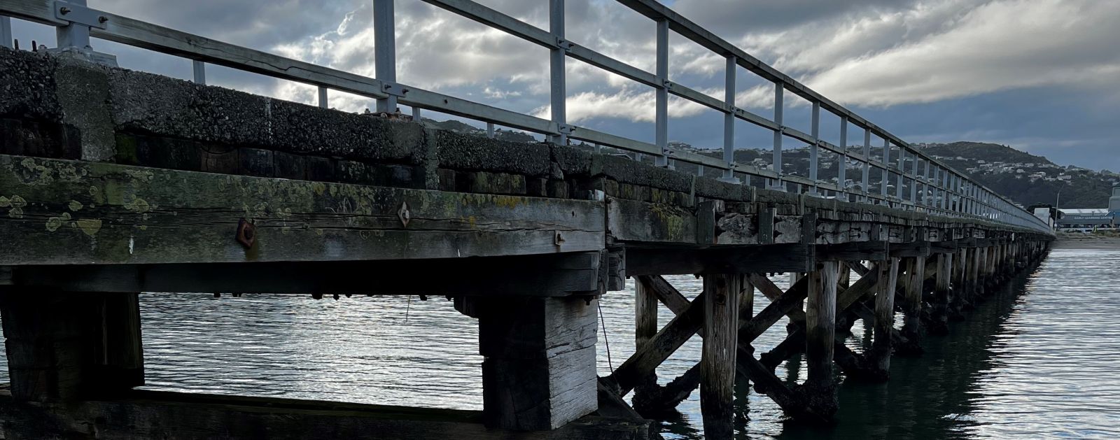 Image of petone wharf with beach in the distance banner image