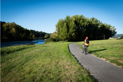 Photo of person cycling by river