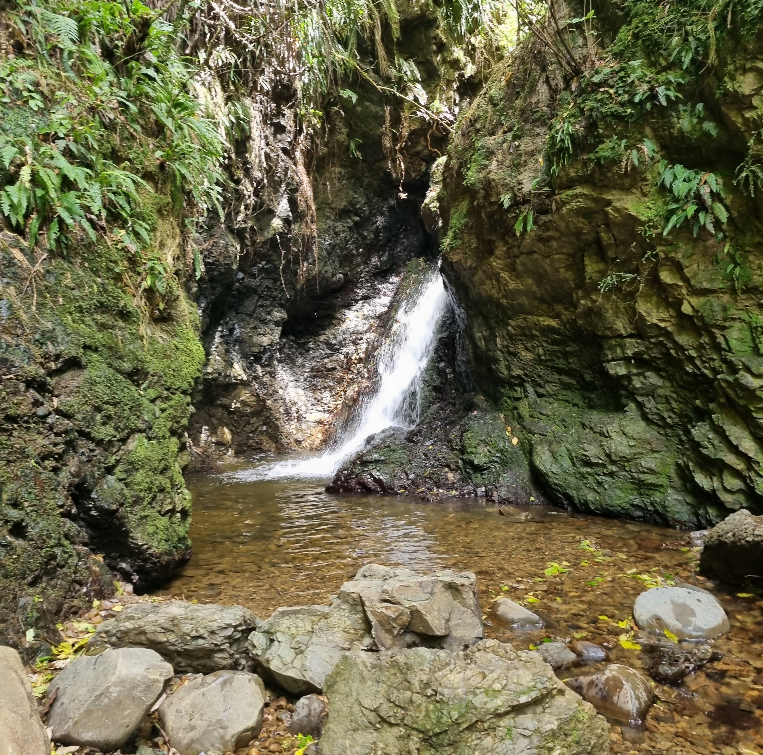 Dry Creek Waterfall