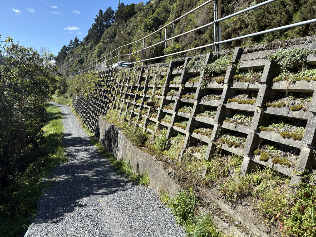 EHR - below road current