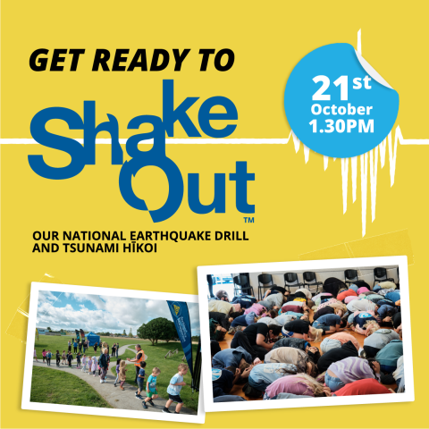 Shakeout