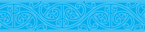 Maori Strategy banner