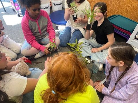 Rātā Street School students selecting plants for WMP